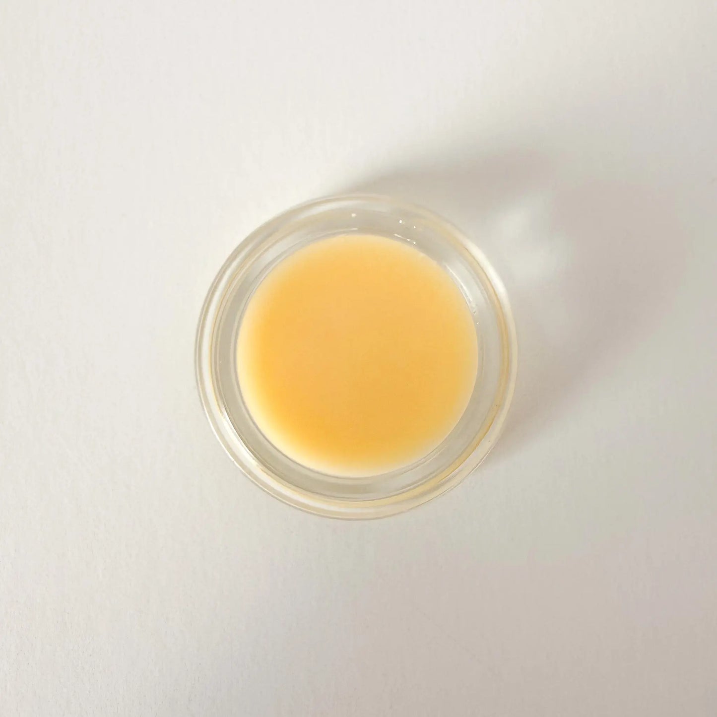 Peppermint Bark Lip Balm Titus 2 Tallow