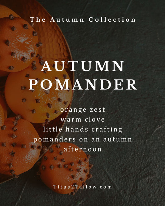 Autumn Pomander Solid Dish Soap + Brush