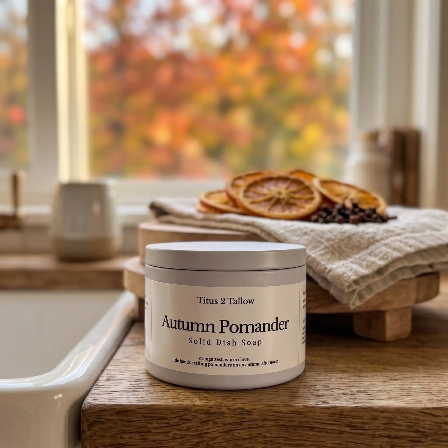 Autumn Pomander Solid Dish Soap