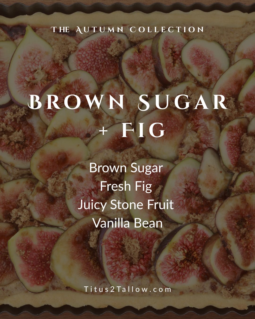 Brown Sugar + Fig Whipped Body Butter