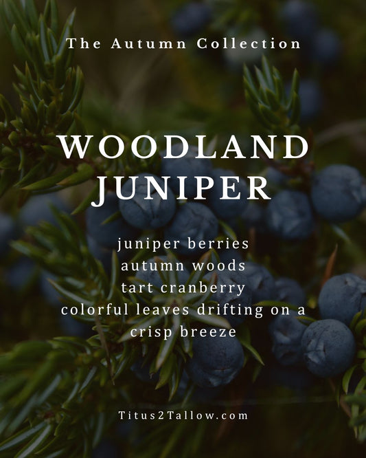 Woodland Juniper Solid Dish Soap + Brush