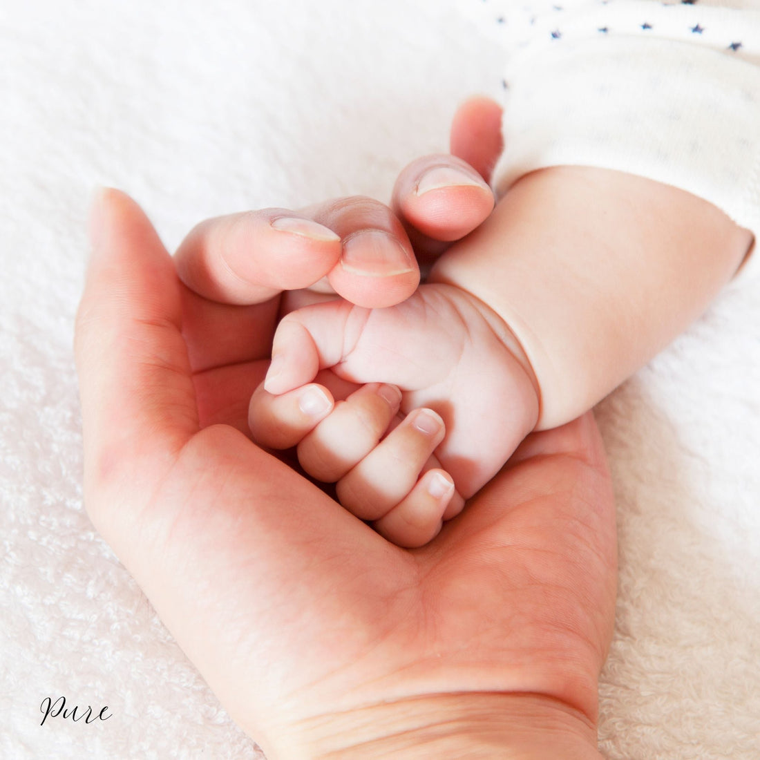 Why I Started Titus 2 Tallow Titus 2 Tallow