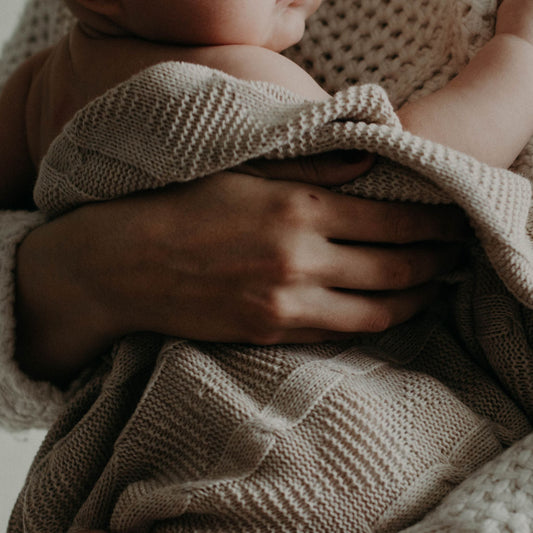Why I Started Titus 2 Tallow Titus 2 Tallow