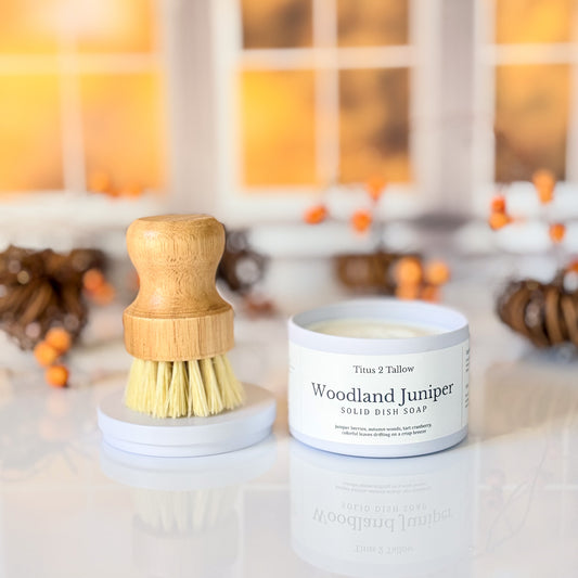 Woodland Juniper Solid Dish Soap + Brush