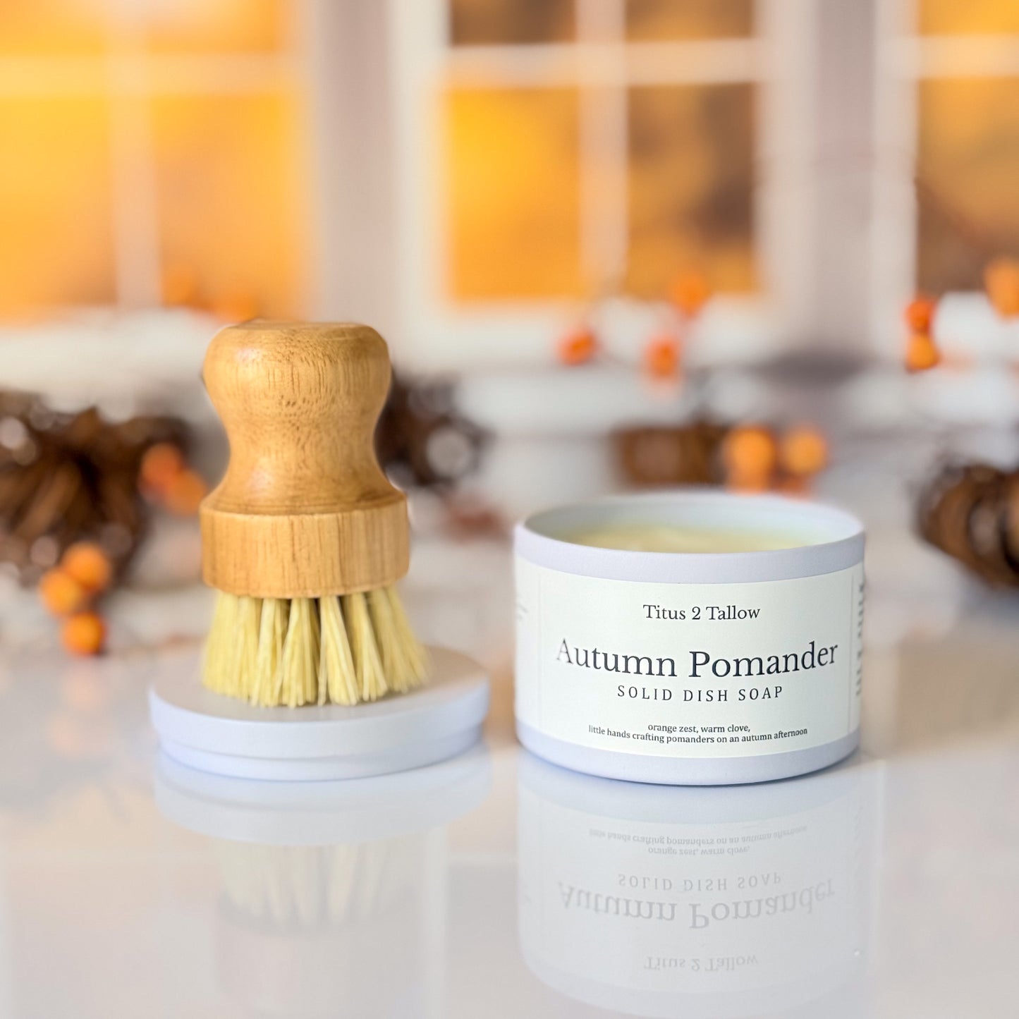 Autumn Pomander Solid Dish Soap + Brush