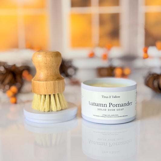 Autumn Pomander Solid Dish Soap + Brush