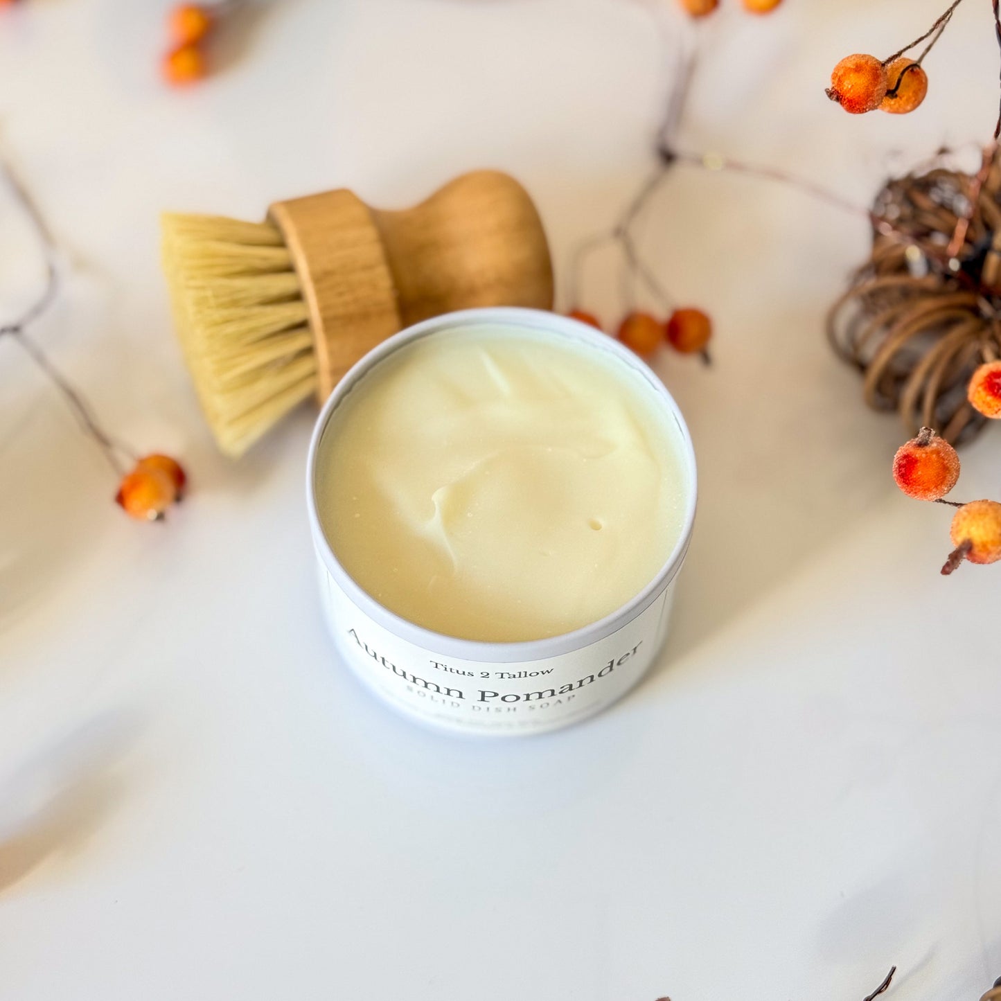 Autumn Pomander Solid Dish Soap + Brush