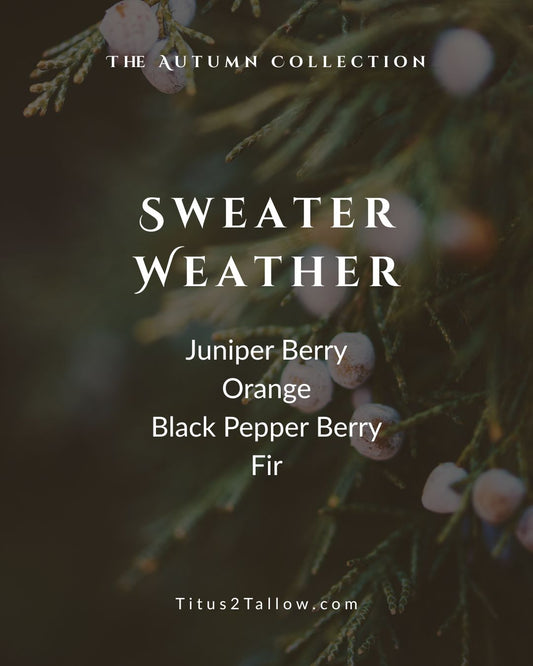 Sweater Weather Whipped Body Butter