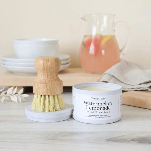 Watermelon Lemonade Solid Dish Soap + Brush